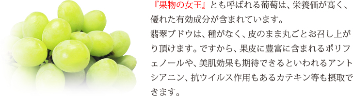 翡翠ブドウ｜商品詳細｜GoGo!Store!!（ゴーゴーストア）