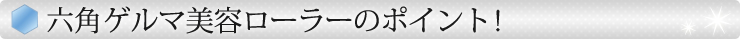 ZpQ}e[[̃|Cg