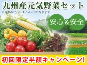 【初回限定半額キャンペーン】九州産元気野菜セット